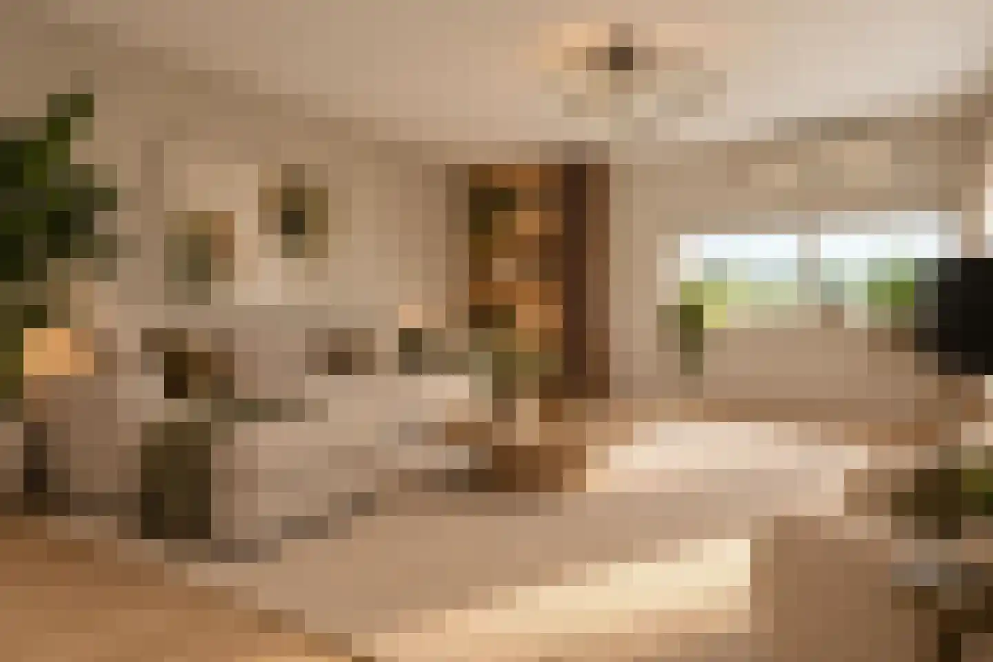 De Zaaier 170 Hoogeveen thumbnail 14