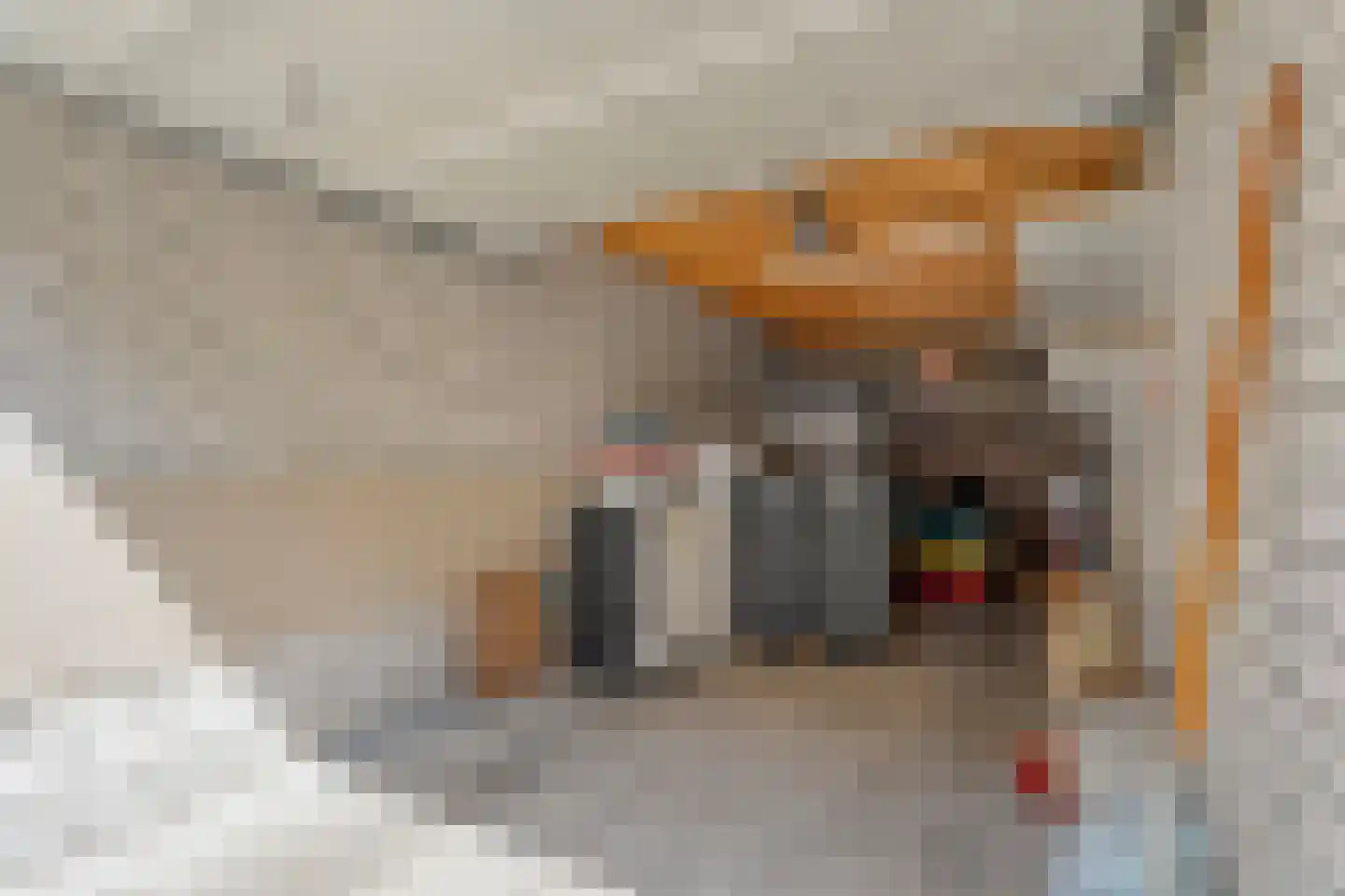 De Zaaier 170 Hoogeveen thumbnail 31