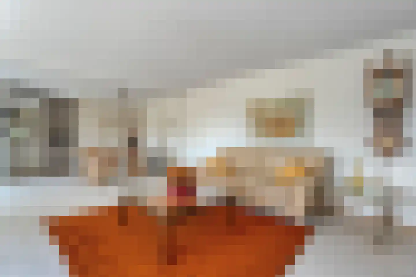 De Zaaier 170 Hoogeveen thumbnail 7