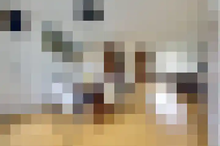 De Zaaiviool 5 Biddinghuizen thumbnail 10