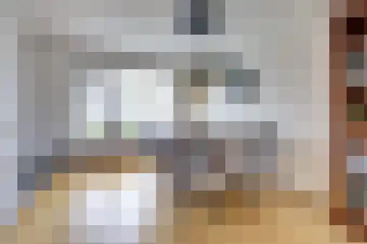 De Zaaiviool 5 Biddinghuizen thumbnail 11