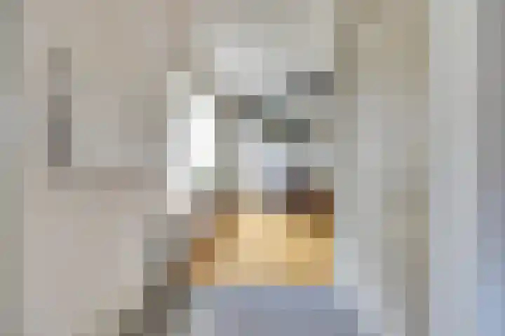 De Zaaiviool 5 Biddinghuizen thumbnail 12