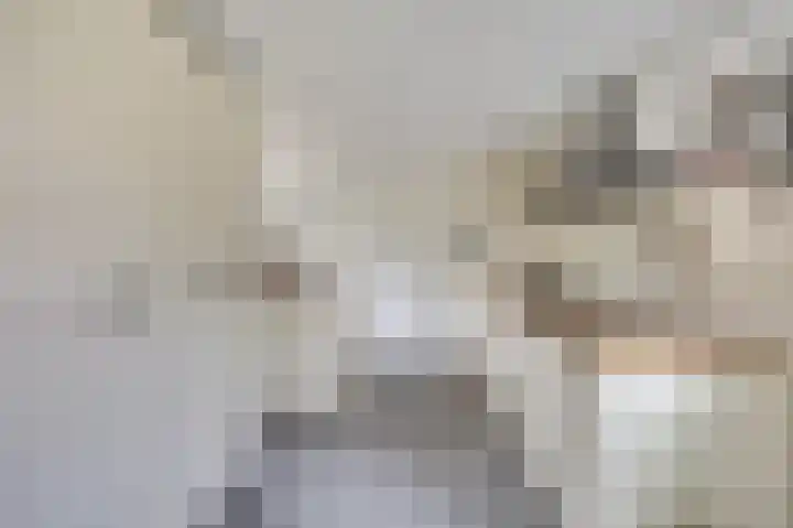 De Zaaiviool 5 Biddinghuizen thumbnail 14