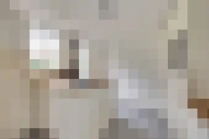De Zaaiviool 5 Biddinghuizen thumbnail 16