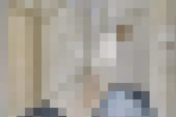 De Zaaiviool 5 Biddinghuizen thumbnail 17
