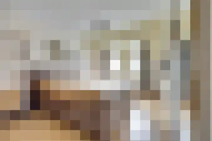 De Zaaiviool 5 Biddinghuizen thumbnail 18