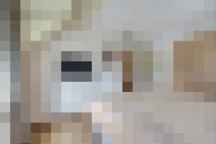 De Zaaiviool 5 Biddinghuizen thumbnail 19