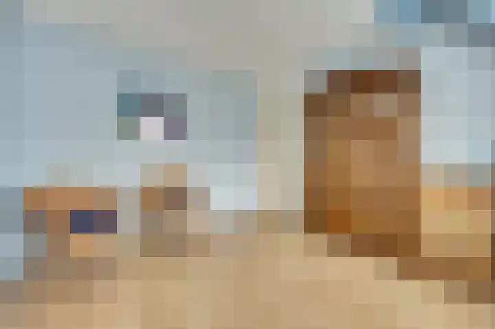 De Zaaiviool 5 Biddinghuizen thumbnail 20
