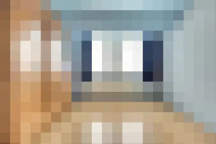 De Zaaiviool 5 Biddinghuizen thumbnail 21
