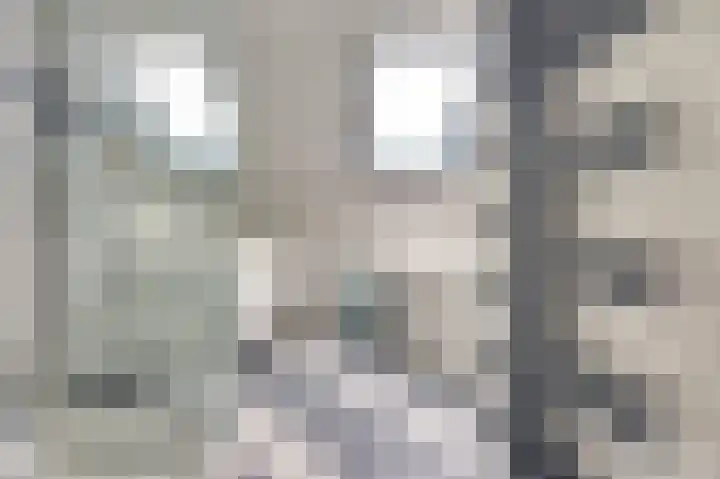De Zaaiviool 5 Biddinghuizen thumbnail 22