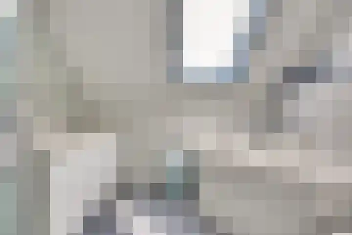 De Zaaiviool 5 Biddinghuizen thumbnail 23
