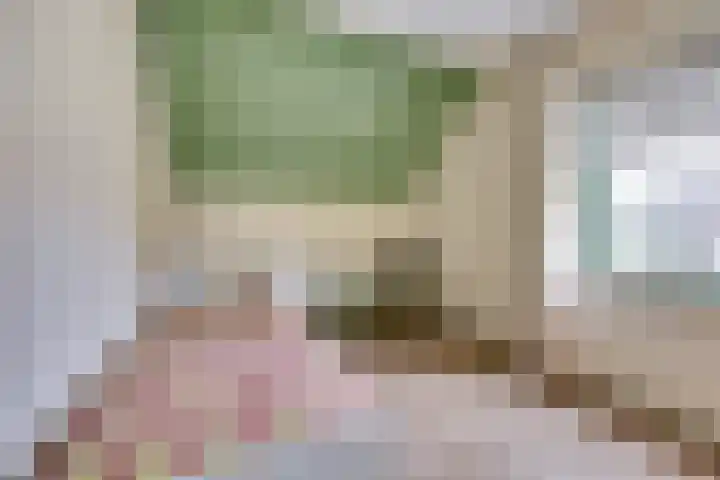 De Zaaiviool 5 Biddinghuizen thumbnail 25