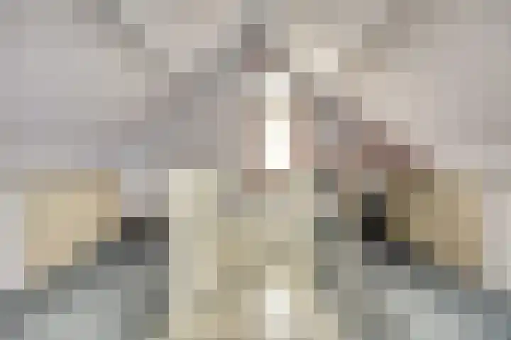 De Zaaiviool 5 Biddinghuizen thumbnail 27