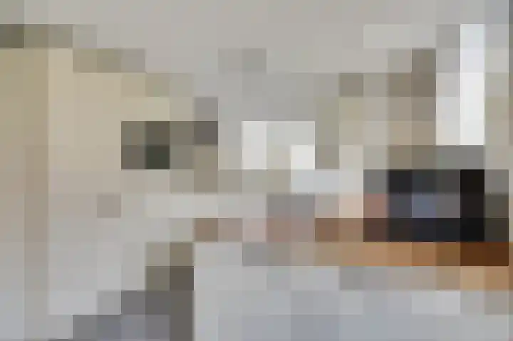 De Zaaiviool 5 Biddinghuizen foto 3