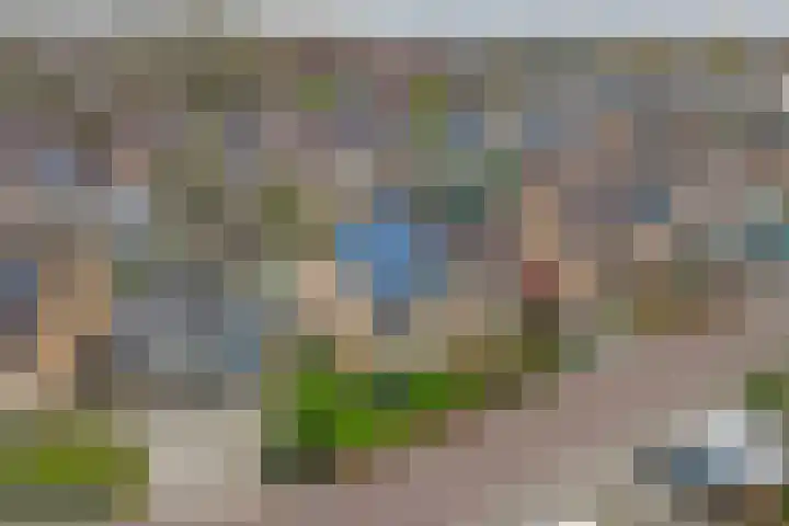 De Zaaiviool 5 Biddinghuizen thumbnail 31