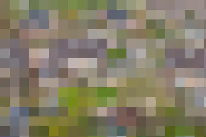 De Zaaiviool 5 Biddinghuizen thumbnail 34