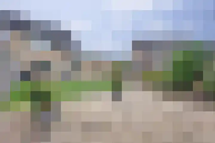 De Zaaiviool 5 Biddinghuizen thumbnail 36