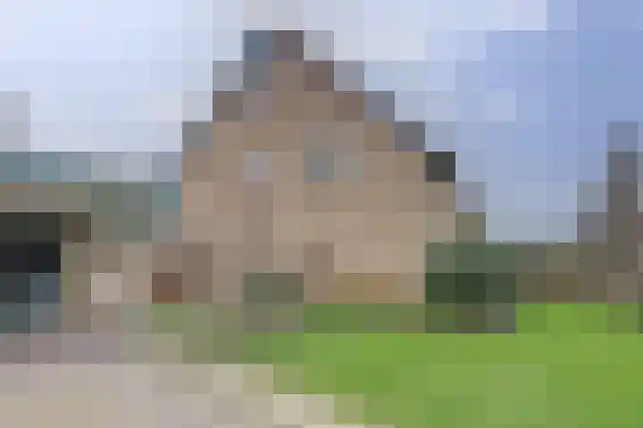 De Zaaiviool 5 Biddinghuizen thumbnail 39