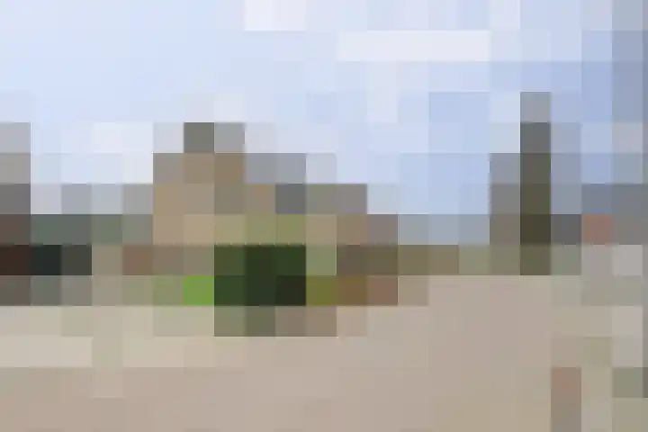 De Zaaiviool 5 Biddinghuizen thumbnail 40