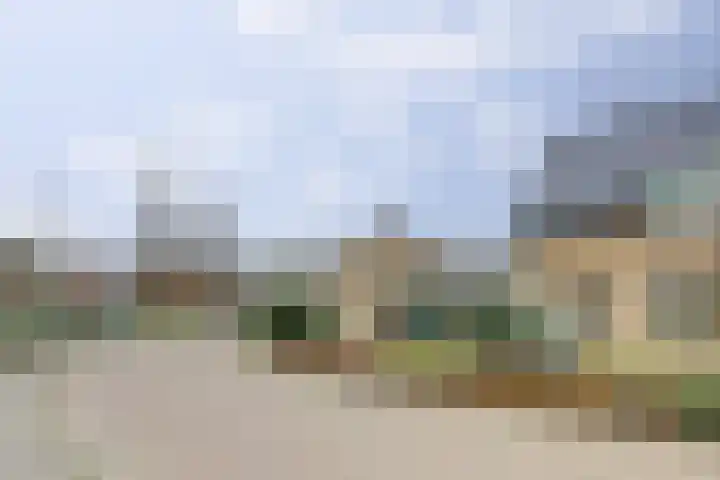 De Zaaiviool 5 Biddinghuizen thumbnail 41