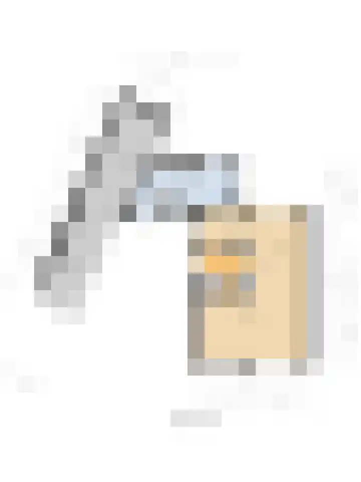 De Zaaiviool 5 Biddinghuizen thumbnail 43