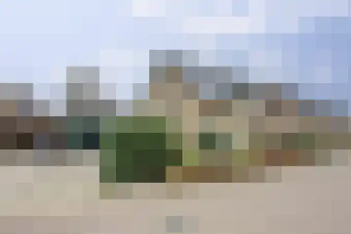 De Zaaiviool 5 Biddinghuizen thumbnail 5