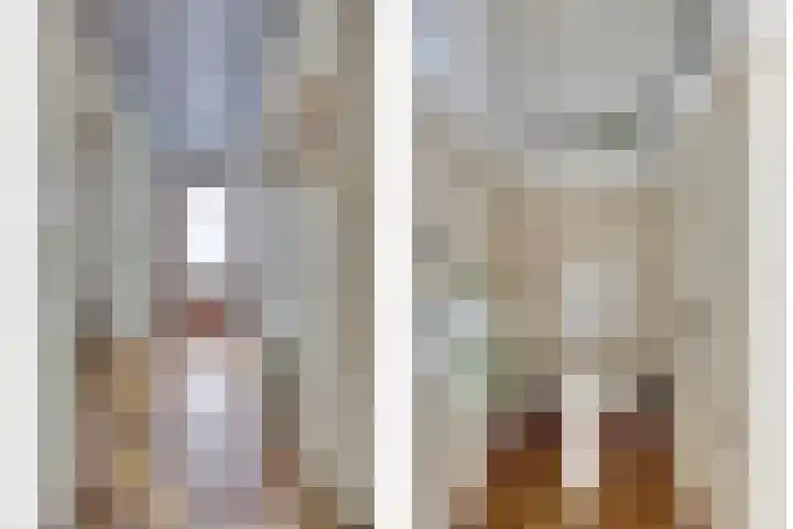 De Zaaiviool 5 Biddinghuizen thumbnail 6