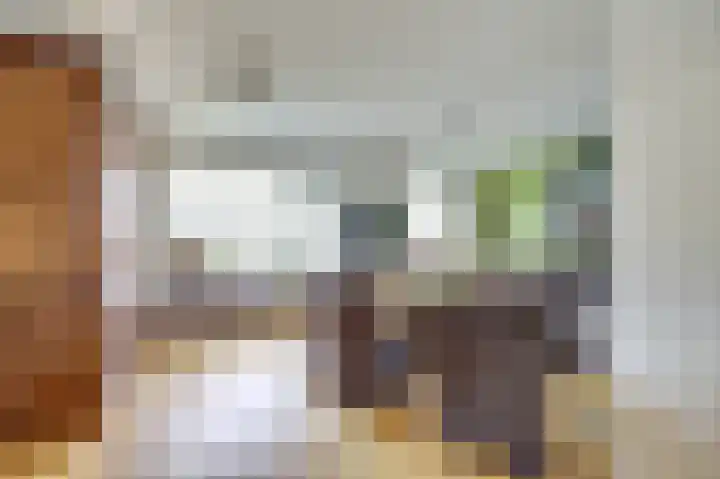 De Zaaiviool 5 Biddinghuizen thumbnail 7