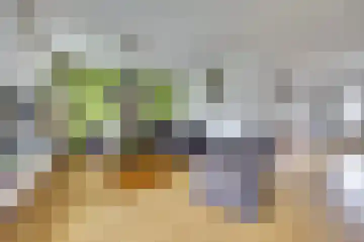 De Zaaiviool 5 Biddinghuizen thumbnail 8