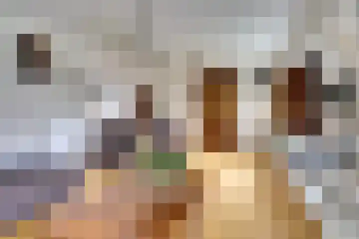 De Zaaiviool 5 Biddinghuizen thumbnail 9