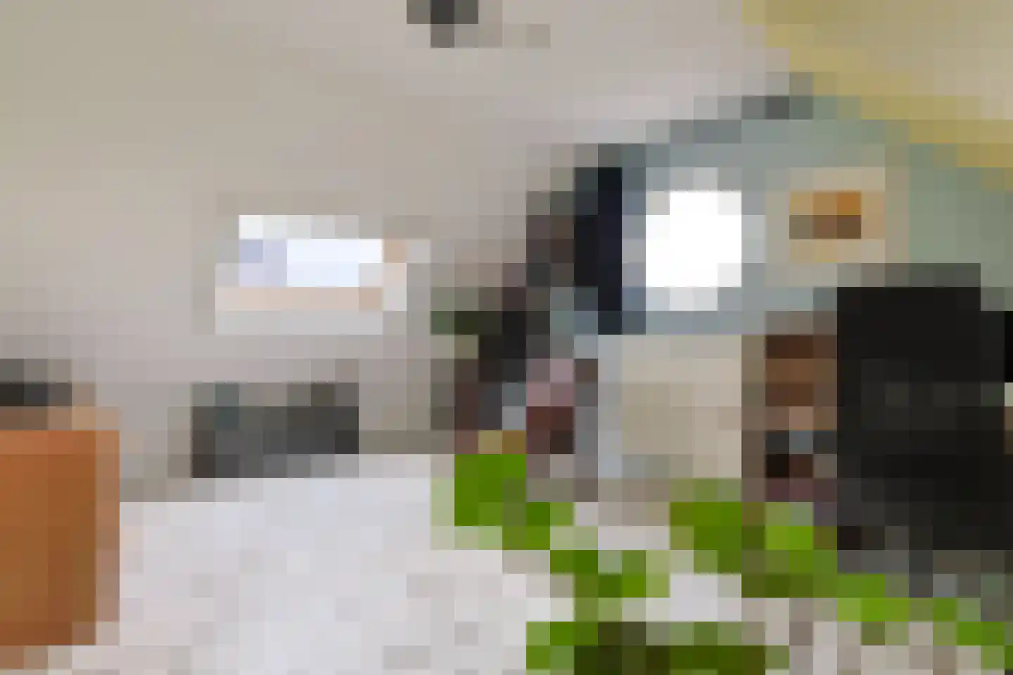 De Zaalberg 11 Leiderdorp thumbnail 33