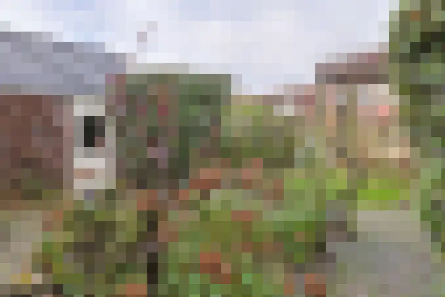 De Zaalberg 11 Leiderdorp thumbnail 37