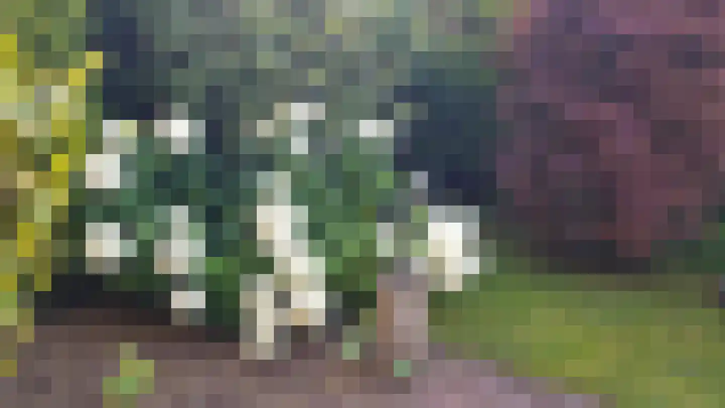 De Zaalberg 11 Leiderdorp thumbnail 56