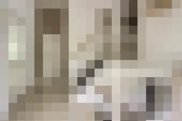 de Zaalsteden 21 Gieten thumbnail 13