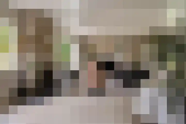 de Zaalsteden 21 Gieten thumbnail 14