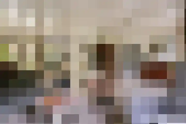de Zaalsteden 21 Gieten thumbnail 16