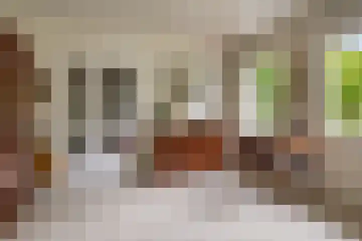 de Zaalsteden 21 Gieten thumbnail 18