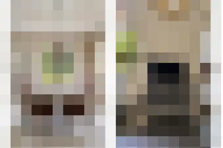 de Zaalsteden 21 Gieten thumbnail 20
