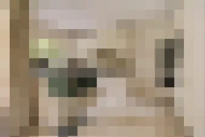 de Zaalsteden 21 Gieten thumbnail 21