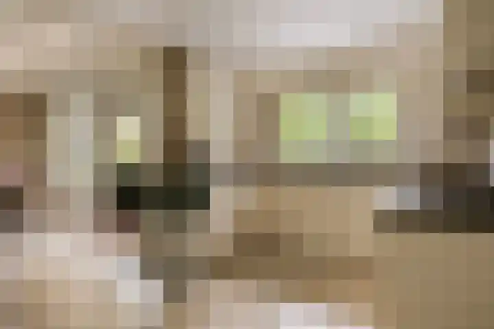 de Zaalsteden 21 Gieten thumbnail 22