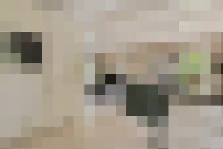 de Zaalsteden 21 Gieten thumbnail 23