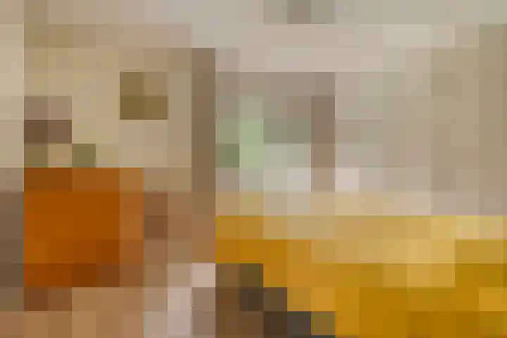 de Zaalsteden 21 Gieten thumbnail 24