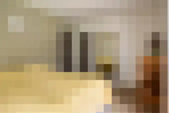 de Zaalsteden 21 Gieten thumbnail 25