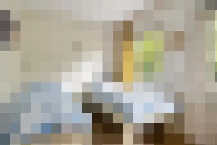 de Zaalsteden 21 Gieten thumbnail 28