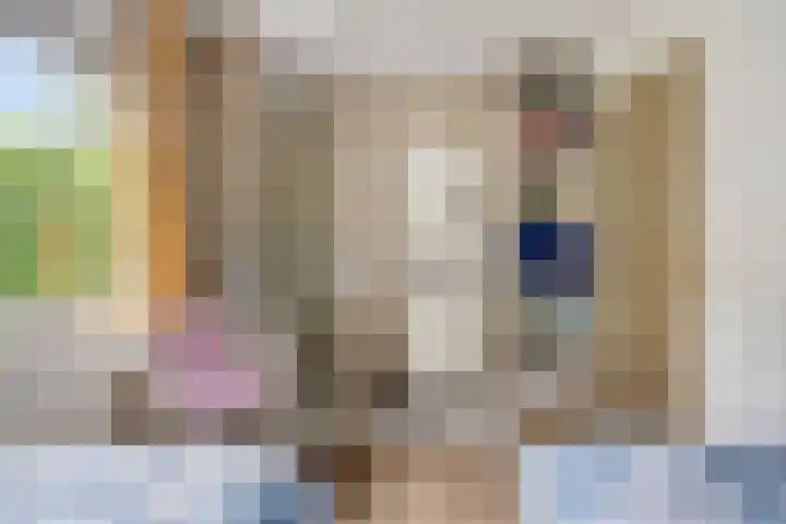 de Zaalsteden 21 Gieten thumbnail 29