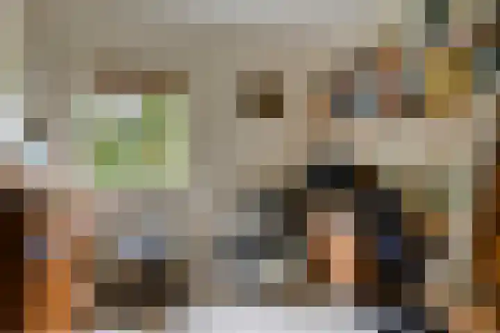 de Zaalsteden 21 Gieten thumbnail 33