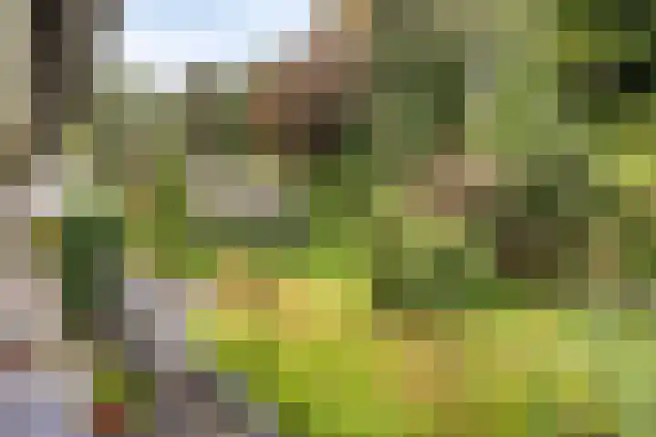de Zaalsteden 21 Gieten thumbnail 35