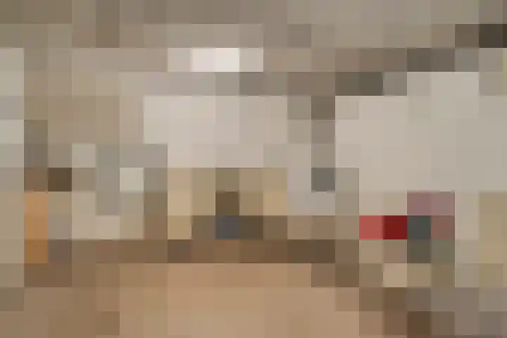 de Zaalsteden 21 Gieten thumbnail 38