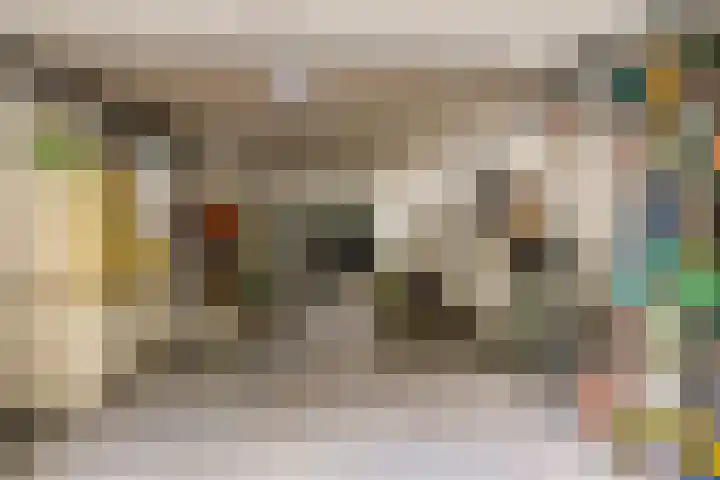 de Zaalsteden 21 Gieten thumbnail 39