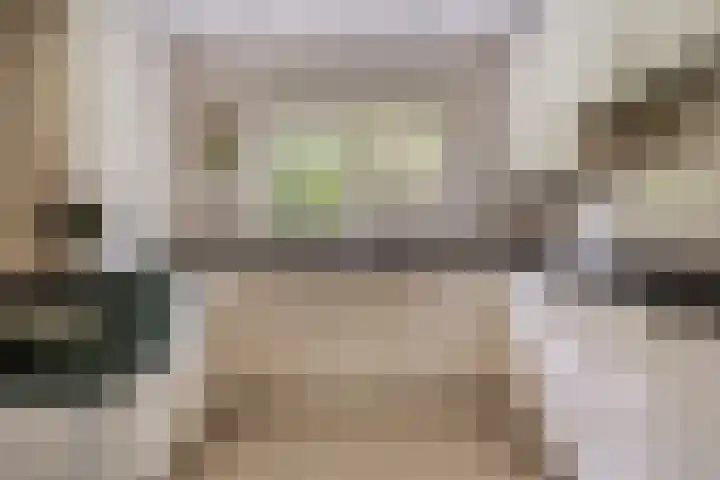 de Zaalsteden 21 Gieten thumbnail 4